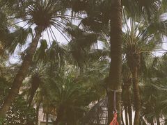 -厦门日月谷温泉渡假村