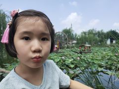 -茯茶镇