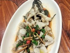 -顺德了能馆(虎门店)