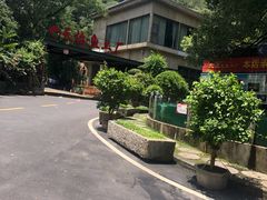 -天怡·鱼工厂(梅溪湖店)