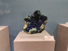 -贵州省地质博物馆