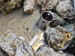 -大众海鲜(巨龙北路店)