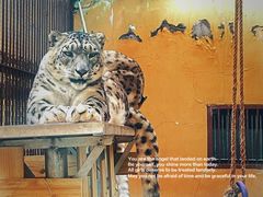 -青藏高原野生动物园