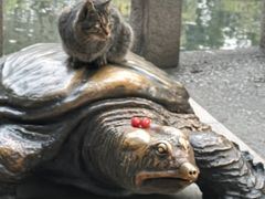 -西园戒幢律寺