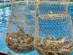 -SHRIMP CLUB万东餐饮钓虾·清吧