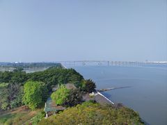 -大湾区中央湿地公园
