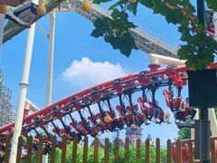 -郑州方特梦幻王国