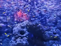 -成都浩海立方海洋公园