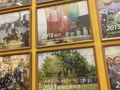 -杨梅红艺术教育(万象城教学中心)