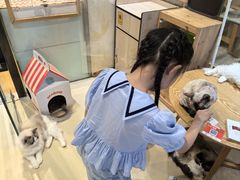 -藏猫猫咖啡主题馆(中央大道店)