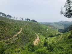 -三门江国家森林公园