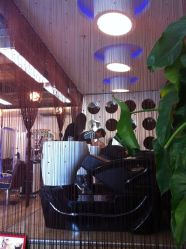 IMG_5944-尚·丹尼Hair