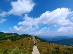 -白草畔自然风景区