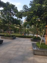 -深圳市宝安区妇幼保健院