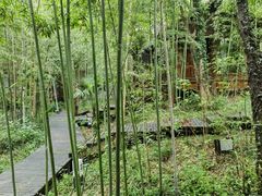 -洪湖悦兮半岛国际温泉度假村