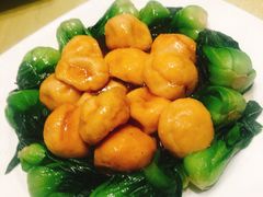 菜心鱼面筋-燕云楼(云南路店)
