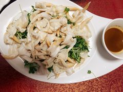 辣根鸟贝-春来酒家