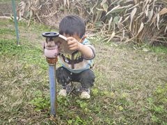 -白鹭湾湿地公园
