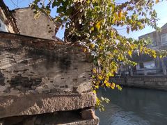 -江苏省黄埭中学