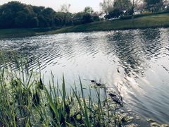 -尚贤河湿地