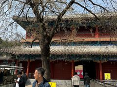 -潭柘寺景区
