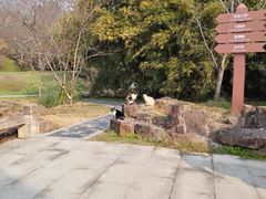 -苏州上方山国家森林公园