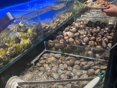 -苏格里岛自助海鲜烤肉(中州万达店)