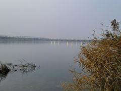 -绿堤公园
