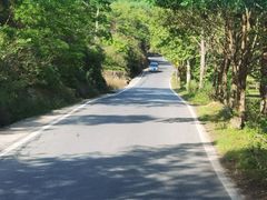 -杨家堂村