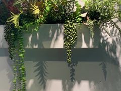 -耍盆友·重庆江湖菜(百子湾店)
