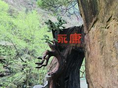 -浙北大峡谷
