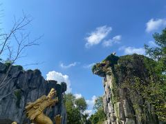-宜兴龙背山森林公园