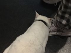 -Doors独立剧情密室(东门分店)