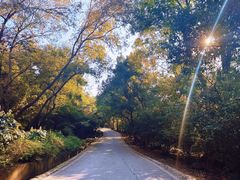-南京市江宁方山