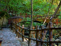 -青峰峡国家森林公园