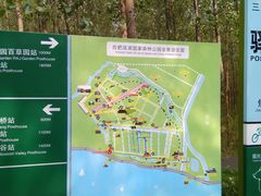 -合肥滨湖国家森林公园