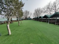 -亲兄弟真人CS团建拓展基地