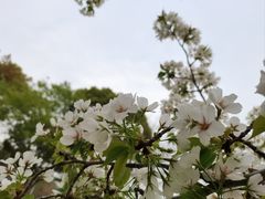 -尚贤河湿地