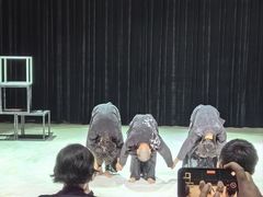 -北京喜剧院