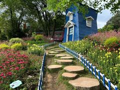 -铁山坪森林公园