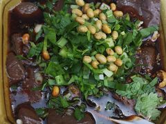 -大邑李记肥肠血旺