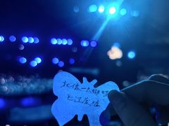 -沈阳奥林匹克体育中心