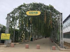 -北戴河集发农业梦想王国