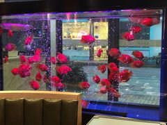 -釜山火炉韩式炭火烤肉(欧洲城店)