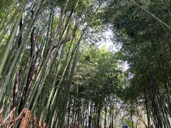 -西安市长乐公园