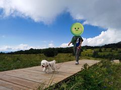 -白草畔自然风景区