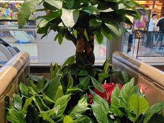 -荷花亭·湖北融合菜(十堰武商MALL店)