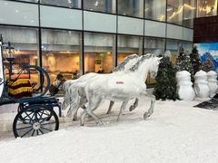 -世界之窗阿尔卑斯冰雪世界