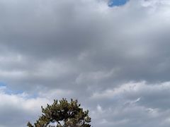 -恩阳古镇