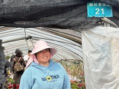 -龙大花卉苗木市场